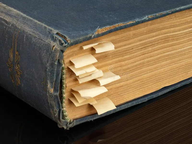 ისტორიის კურსი